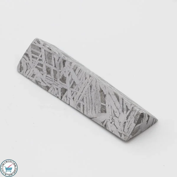 Aletai Meteorite 40.5g Shapes