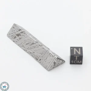 Aletai Meteorite 38.0g Shapes