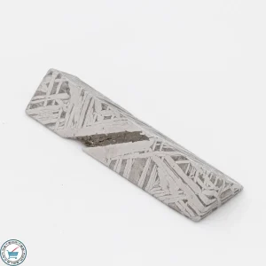 Aletai Meteorite 38.0g Shapes