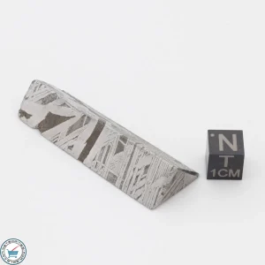 Aletai Meteorite 44.8g Shapes