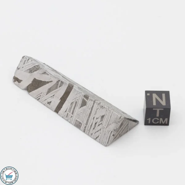 Aletai Meteorite 44.8g Shapes