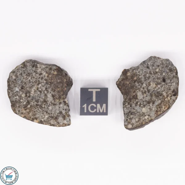 NWA 869 Meteorite 15.2g
