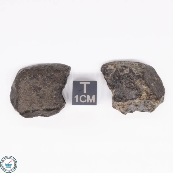 NWA 869 Meteorite 15.2g