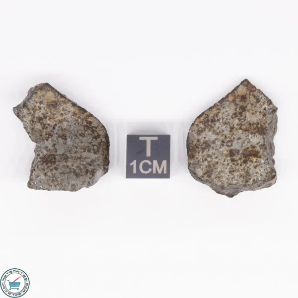 NWA 869 Meteorite 12.8g