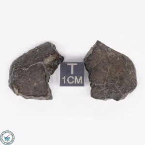 NWA 869 Meteorite 12.8g