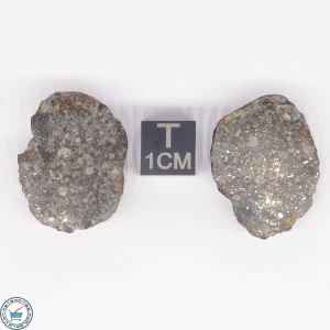 NWA 869 Meteorite 12.9g
