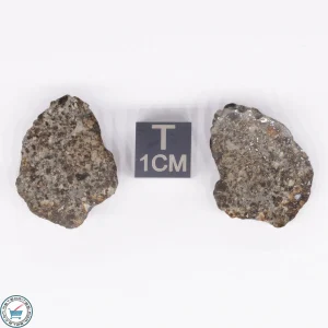NWA 869 Meteorite 10.6g