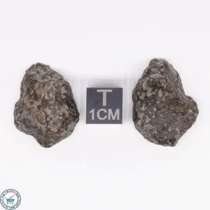NWA 869 Meteorite 10.6g