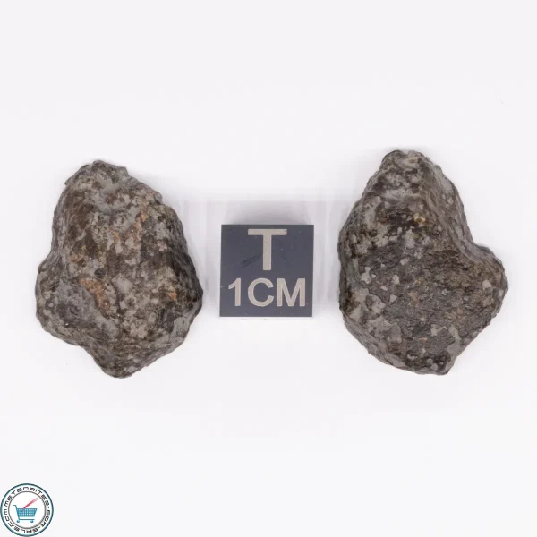 NWA 869 Meteorite 10.6g