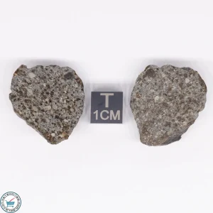 NWA 869 Meteorite 16.6g