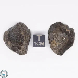 NWA 869 Meteorite 16.6g