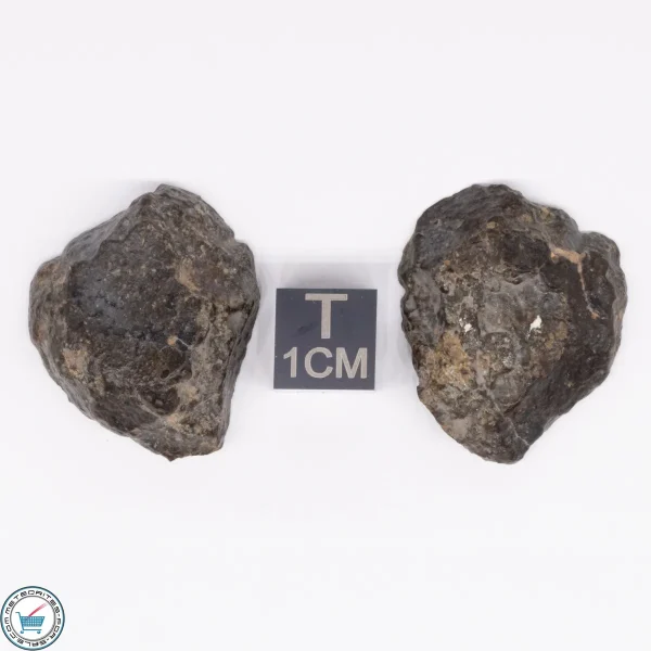 NWA 869 Meteorite 16.6g