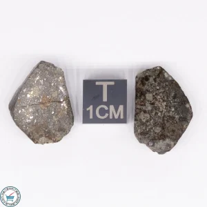 NWA 869 Meteorite 5.3g