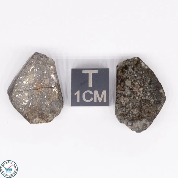 NWA 869 Meteorite 5.3g