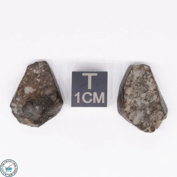 NWA 869 Meteorite 5.3g