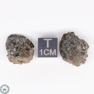NWA 869 Meteorite 5.9g