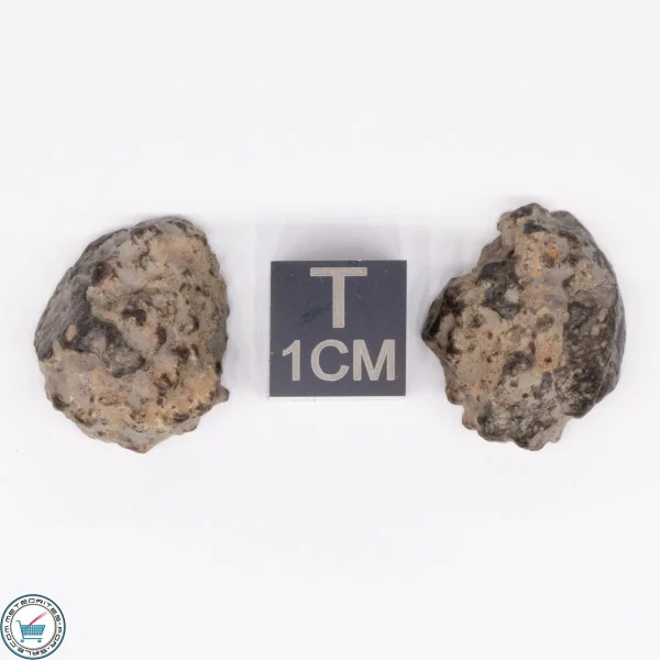 NWA 869 Meteorite 5.9g