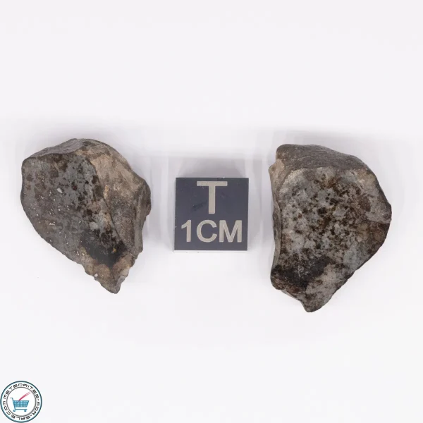 NWA 869 Meteorite 11.7g