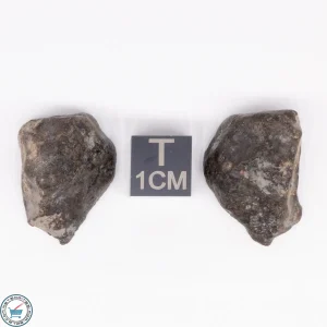 NWA 869 Meteorite 11.7g