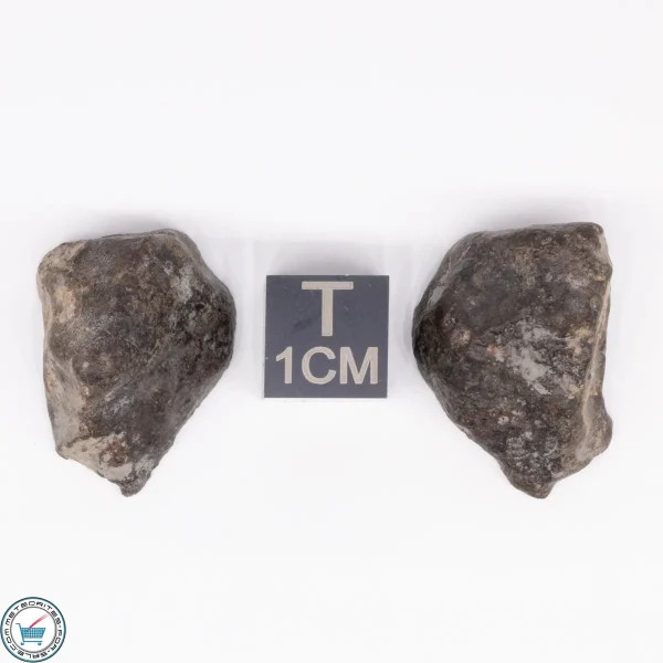 NWA 869 Meteorite 11.7g