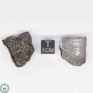 NWA 869 Meteorite 10.3g