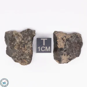 NWA 869 Meteorite 10.3g