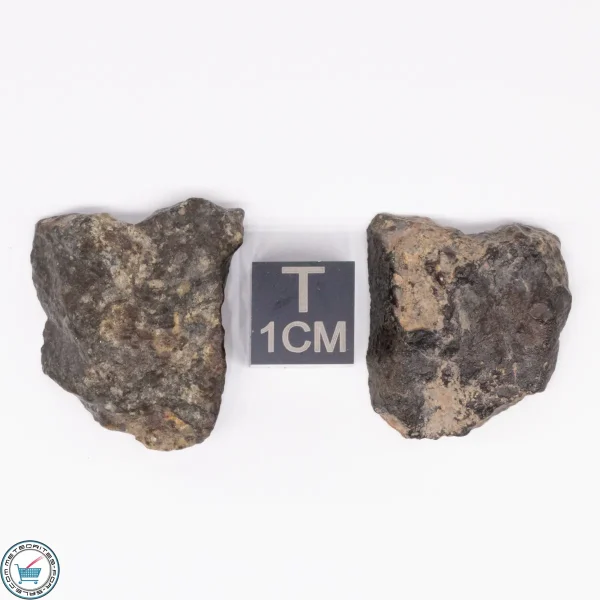 NWA 869 Meteorite 10.3g