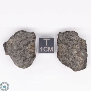 NWA 869 Meteorite 11.6g
