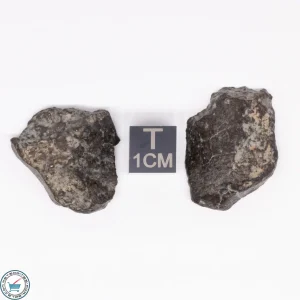 NWA 869 Meteorite 11.6g