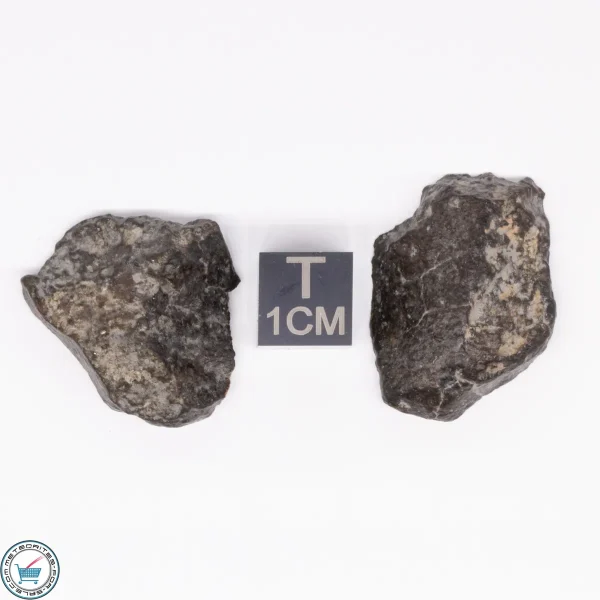 NWA 869 Meteorite 11.6g