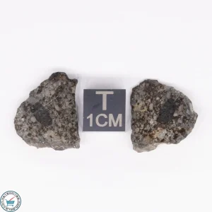 NWA 869 Meteorite 3.6g