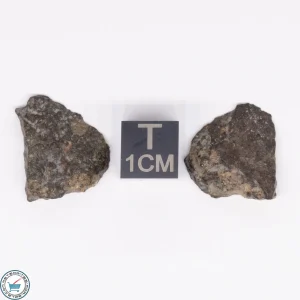 NWA 869 Meteorite 3.6g
