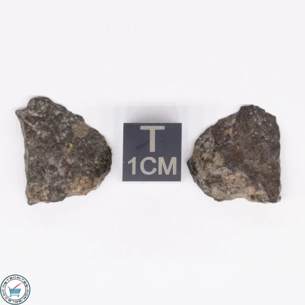 NWA 869 Meteorite 3.6g