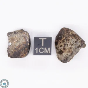 NWA 869 Meteorite 5.7g