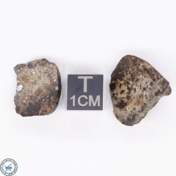 NWA 869 Meteorite 5.7g