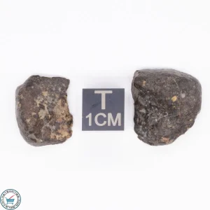 NWA 869 Meteorite 5.7g