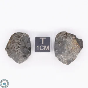NWA 869 Meteorite 8.0g
