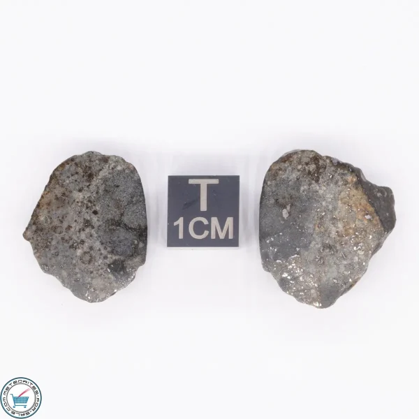 NWA 869 Meteorite 8.0g