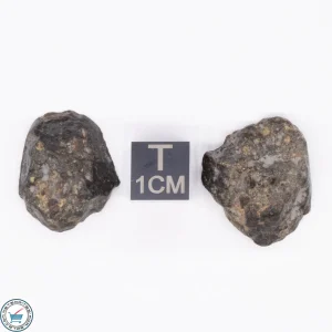 NWA 869 Meteorite 8.0g