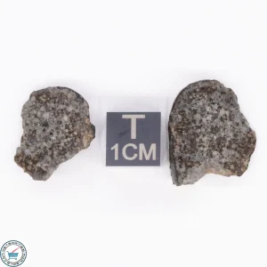 NWA 869 Meteorite 4.8g