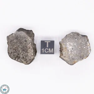 NWA 869 Meteorite 20.5g