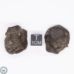 NWA 869 Meteorite 20.5g
