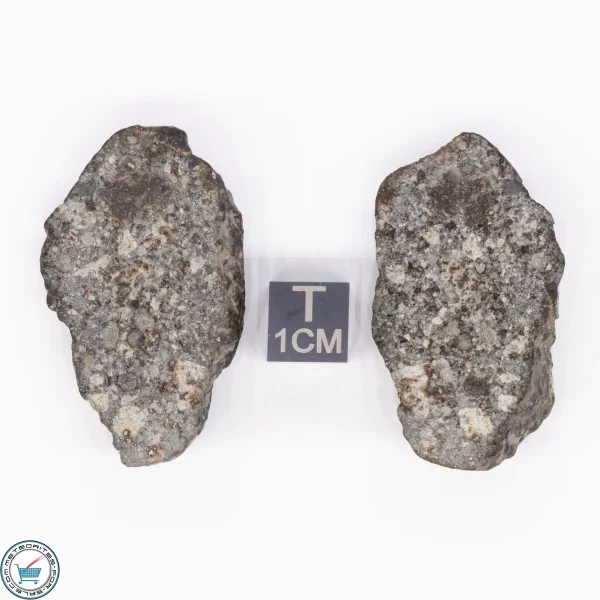NWA 869 Meteorite 31.1g