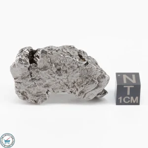 Aletai Meteorite 48.0g Crystal