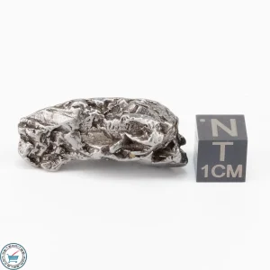 Aletai Meteorite 24.6g Crystal