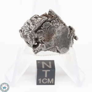 Aletai Meteorite 24.7g Crystal