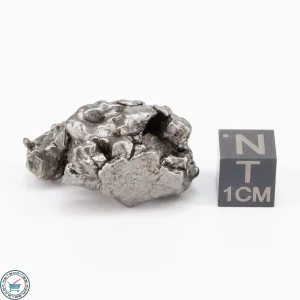 Aletai Meteorite 26.3g Crystal
