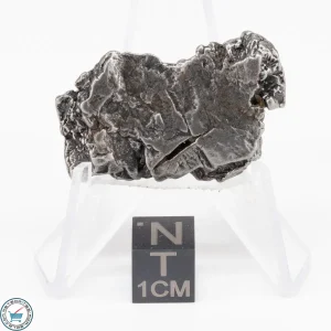 Aletai Meteorite 22.4g Crystal
