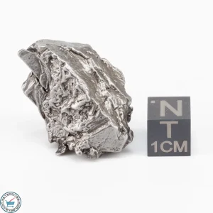 Aletai Meteorite 26.4g Crystal