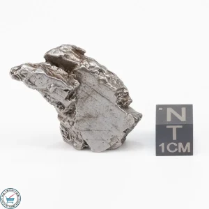 Aletai Meteorite 25.8g Crystal